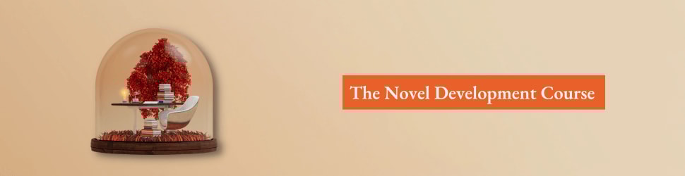 writing a novel to get published