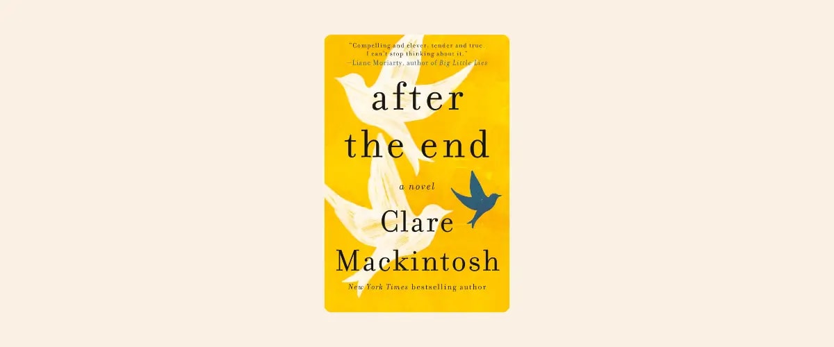 Cover of After the End by Clare Mackintosh.