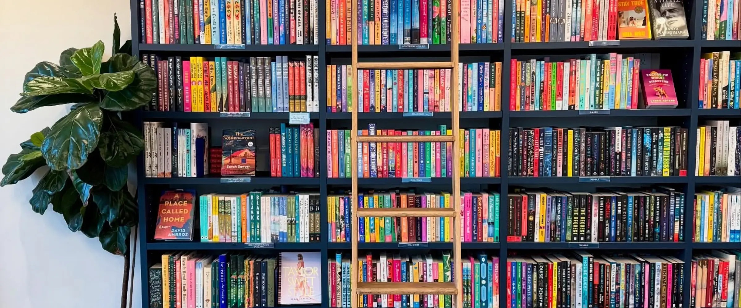 Interior of Zibby's Bookshop, California.