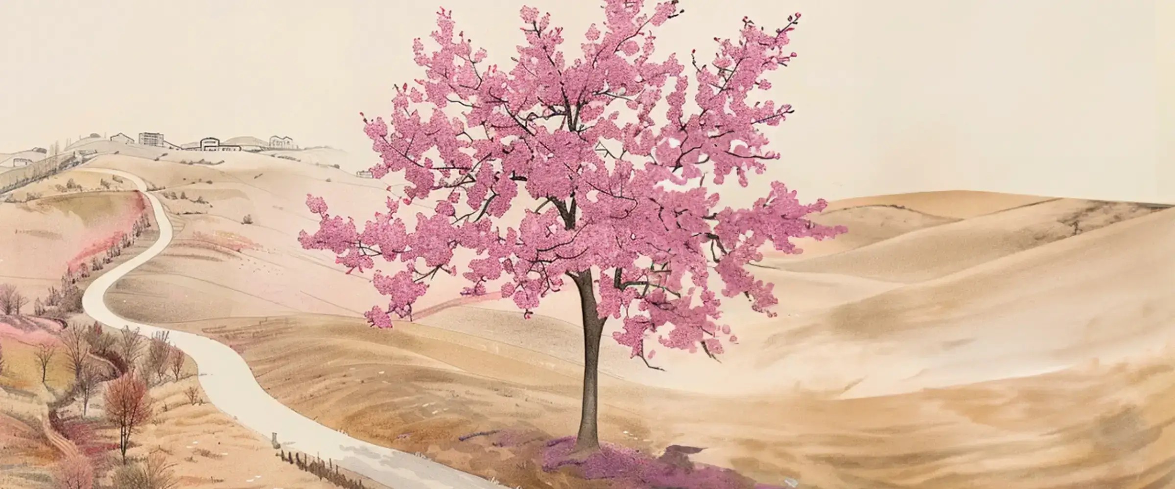 Illustration of a fully mature tree in full pink bloom.