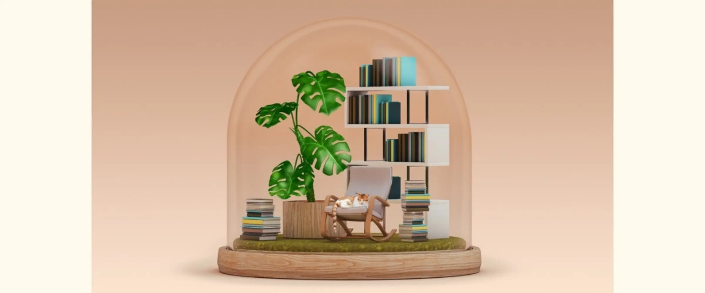A graphic snowglobe containing a full bookshelf, large pot plant, and a cat asleep on a chair.